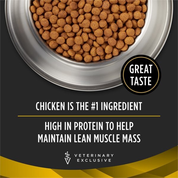 Chewy Purina Pro Plan Veterinary Diets Neurocare Dry Dog Food 11-lb Bag