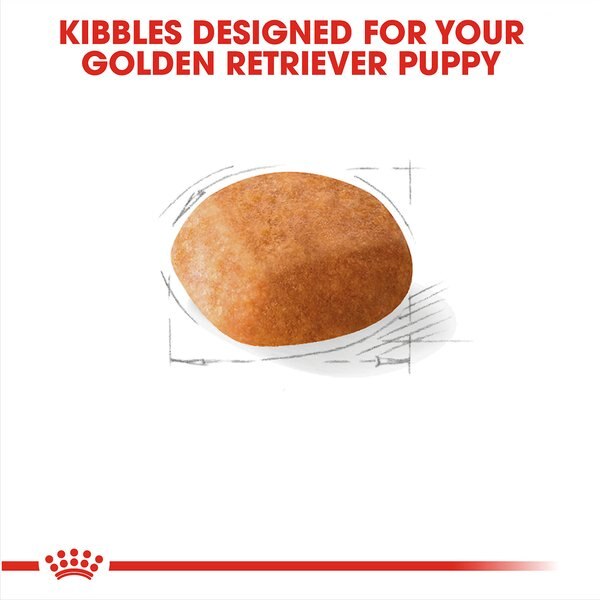 Chewy Royal Canin Breed Health Nutrition Golden Retriever Puppy Dry Dog Food 30-lb Bag