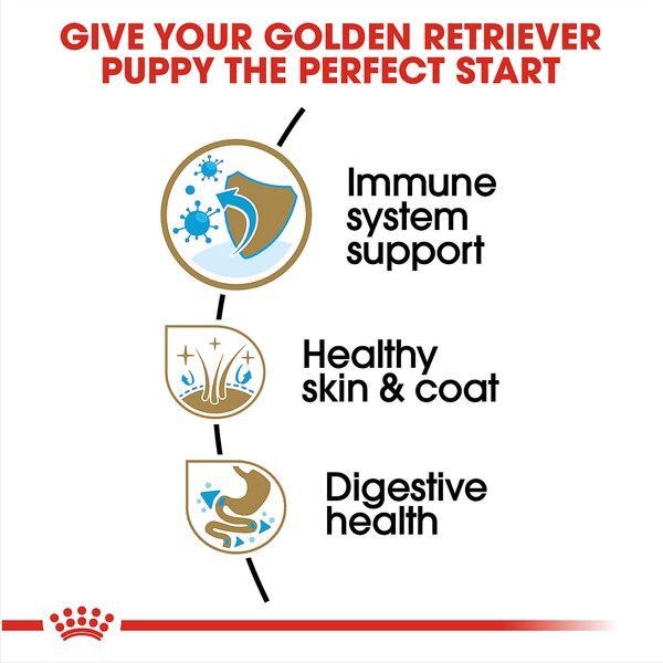 Chewy Royal Canin Breed Health Nutrition Golden Retriever Puppy Dry Dog Food 30-lb Bag