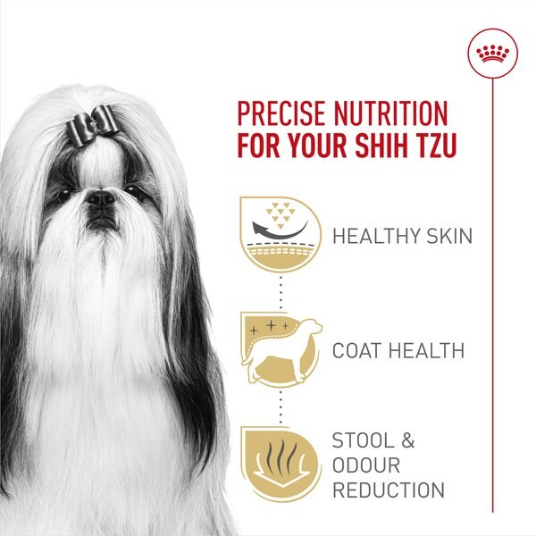 Chewy Royal Canin Breed Health Nutrition Shih Tzu Adult Dry Dog Food 10-lb Bag