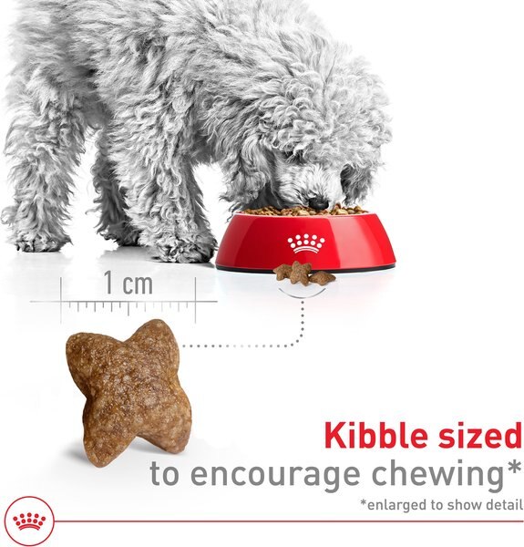 Chewy Royal Canin Size Health Nutrition Small Adult Dry Dog Food 14-lb Bag Bundle Of 2