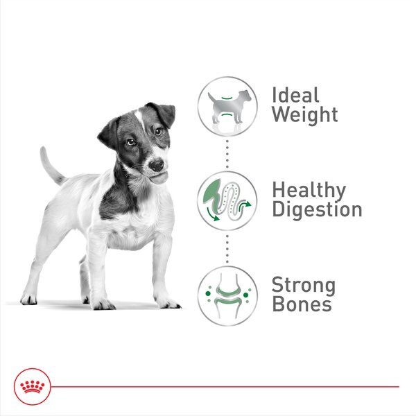 Chewy Royal Canin Size Health Nutrition Small Adult Dry Dog Food 14-lb Bag Bundle Of 2