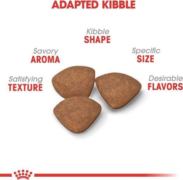 Chewy Royal Canin Size Health Nutrition Small Puppy Dry Dog Food 30-lb Bag