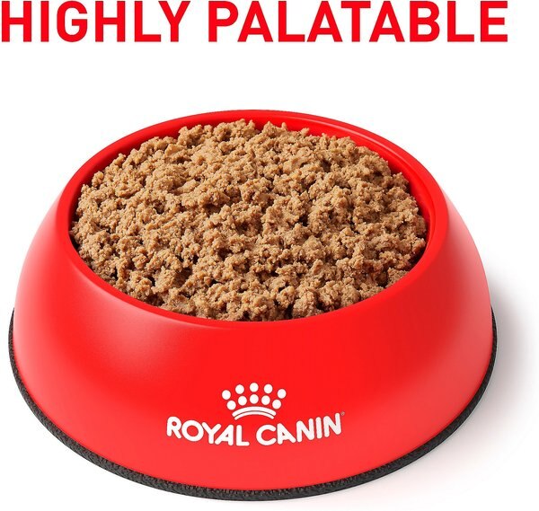 Chewy Royal Canin Veterinary Diet Adult Gastrointestinal Low Fat Loaf Canned Dog Food 13.5-oz Can Case Of 12