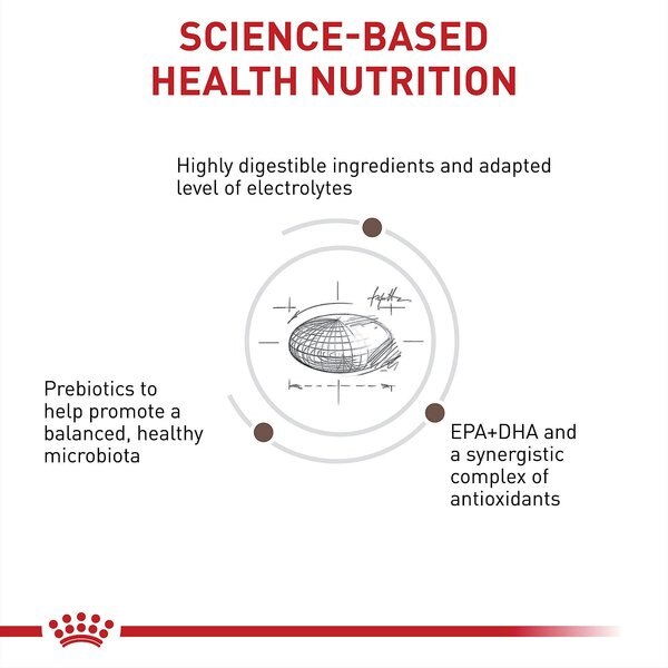 Chewy Royal Canin Veterinary Diet Adult Gastrointestinal Low Fat Small Breed Dry Dog Food 1.5-lb Bag