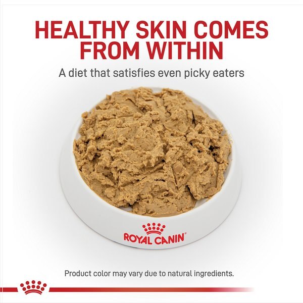 Chewy Royal Canin Veterinary Diet Adult Hydrolyzed Protein Loaf Wet Dog Food 13.7-oz Can Case Of 24