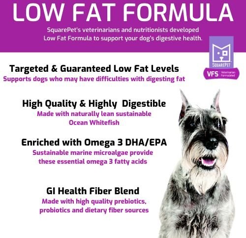 Chewy SquarePet VFS Digestive Support Low Fat Formula Dry Dog Food 22-lb Bag