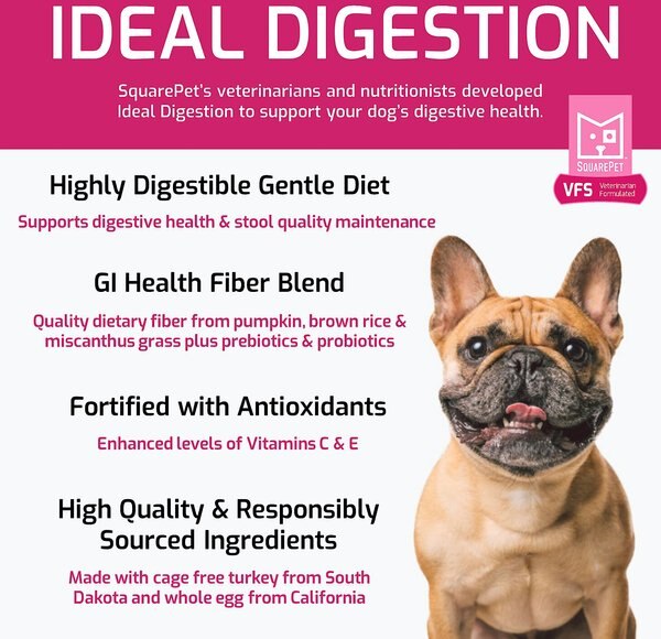 Chewy SquarePet VFS Ideal Digestion Dry Dog Food 22-lb Bag
