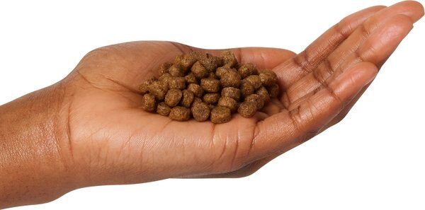 Chewy Wholesomes Puppy Chicken & Rice Dry Dog Food 16.5-lb Bag