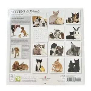 2019 Kittens & Friends Gladstone Media Wall Calendar New