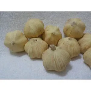 3/10 11 pc Realistic Faux Garlic Decor Decorative Farmhouse Country Kitchen