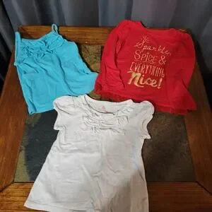 3T Bundle Of Girls Clothing - Okie Dokie Carter's Circo Garanimals
