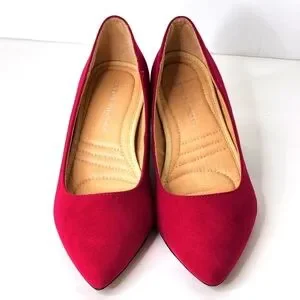 Adrienne Vittadini Flori Suede Pointed Toe Metallic Heel Pumps Size 7.5