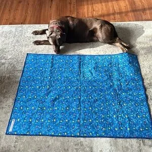 Alaskan Made Valley Quilters Guild Quilt EUC