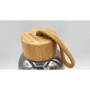 Anthropologie Iridescent Silver Mirror Luster Glass Water Bottle Bamboo Lid Rope