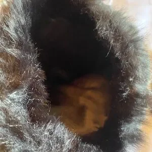 Black Fuzzy Boot Topers