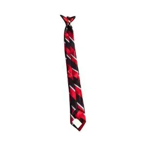 Boys Clip On Tie