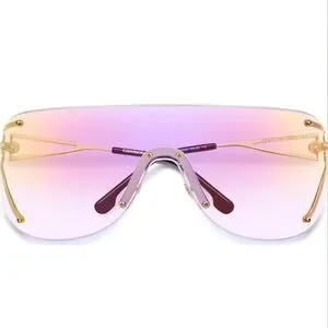 Carrera Special Edition Gradient Oversized Sunglasses