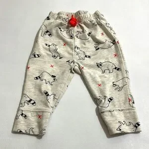 Cat & Jack Raccoon Onesie/Pants Set