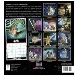 Cat Wars In A Galaxy Not Far Away Cats Rule 2024 Calendar 16 Month