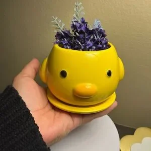 Ceramic Chicken Planter Adorable 4”x4” NWT