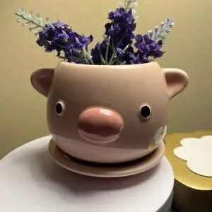 Ceramic Pig Planter Adorable 4”x4” NWT