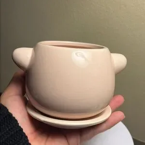 Ceramic Pig Planter Adorable 4”x4” NWT
