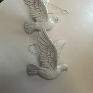 Charming White Turtle Doves