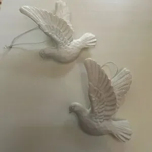 Charming White turtle doves