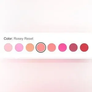 Cheeked Up Liquid Blush NWT Rosey Reset