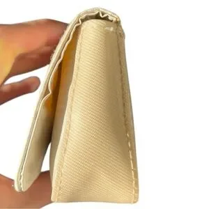 Christian Dior Authentic Case Snap Closure Bag