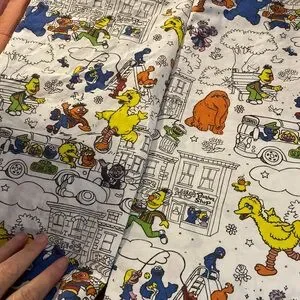 CRATE & BARREL KIDS Land Of Nod Sesame Street Pillow Shams Bedding Sheets