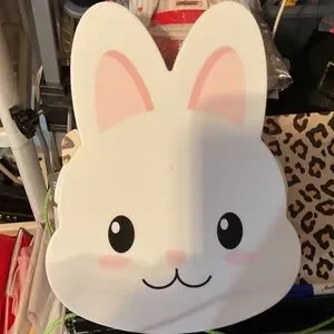 Cute Bunny Face container 000488