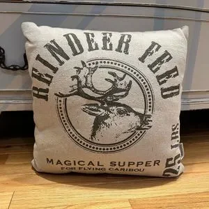 Cute Christmas pillow
