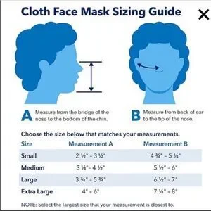 Disney Princess Face Mask