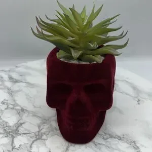 FLORA BUNDA Flocked Velvet Skull Planter With Artificial Succulent