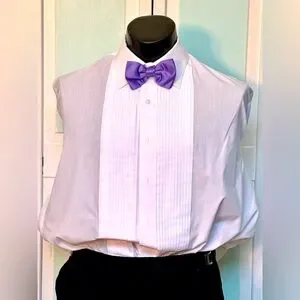 Freesia Purple Wedding Prom Tuxedo Wisteria Pre Tied clip on Bow tie bowtie Boys