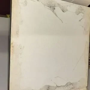 George Caleb Bingham: Frontier Painter Of Missouri / Oversized Art Book HC DJ