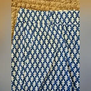 J. CREW Blue Patterned Women's Shorts