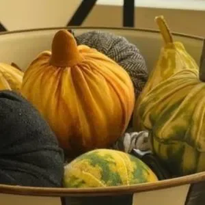 John Derian Pillow Squash