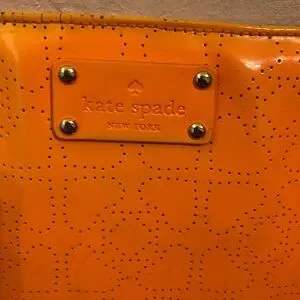 Kate Spade Orange Darby Crossbody Bag