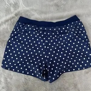 Lands End Women’s Swim Short Sz 24 New