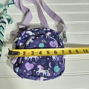 Lot Of 3 Girls Purses And 5 Pop It Fidget Toys