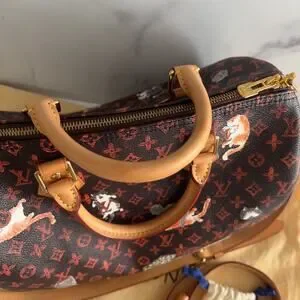 Louis Vuitton Catogram Speedy Bandouliere 30