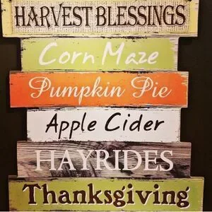 Martha Stewart Braided Pumpkins/Gourds Placemats Set Of Four NWT