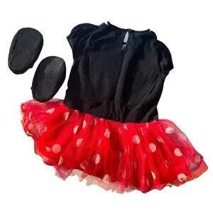 Minnie Mouse Costume 18-24 Months Tulle Tutu Sweater Dress Shoes Disney Baby Gap