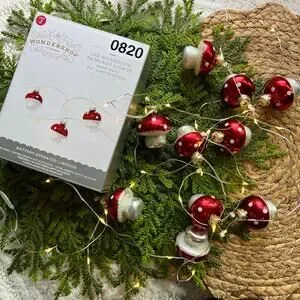 Mushroom Dewdrop Lights LED Red Warm White String Timer Battery Operated