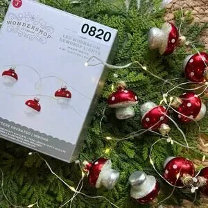 Mushroom Dewdrop Lights LED Red Warm White String Timer Battery Operated