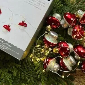 Mushroom Dewdrop Lights LED Red Warm White String Timer Battery Operated
