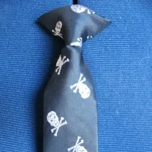 Navy With Silver Skulls Youth Clip-On Necktie